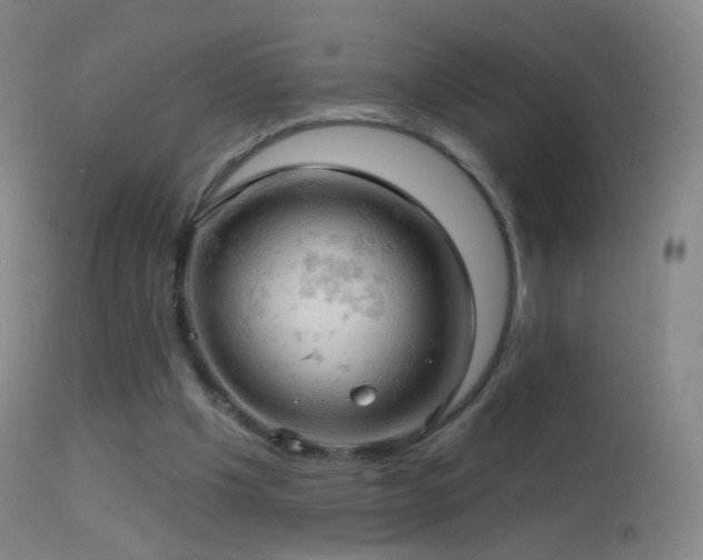 X0000114650201200910201516