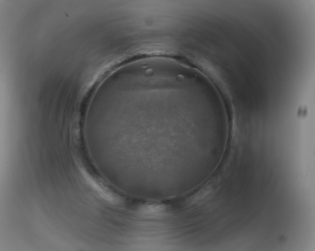 X0000114650202200910201516