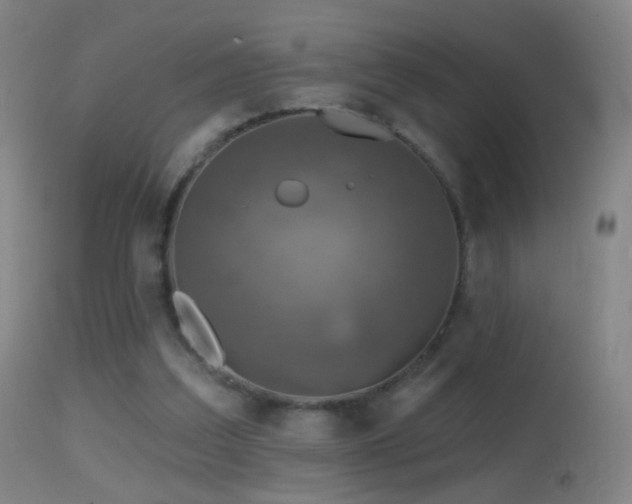 X0000114650203200910201515