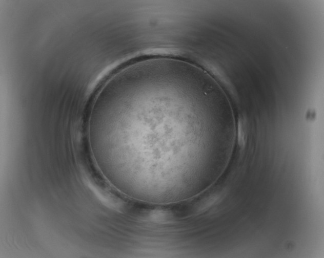 X0000114650204200910201515