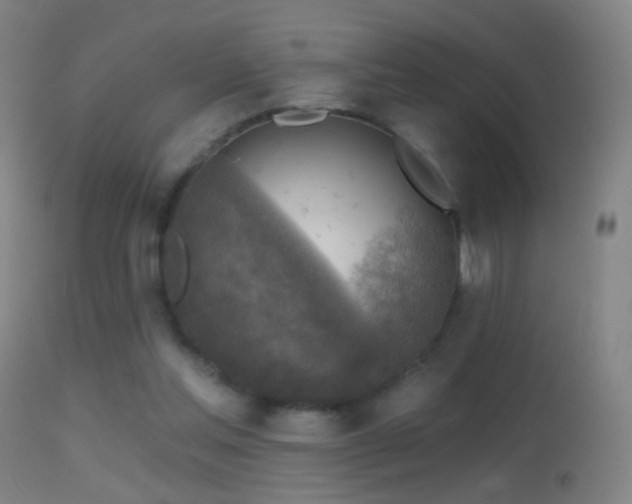 X0000114650205200910201515