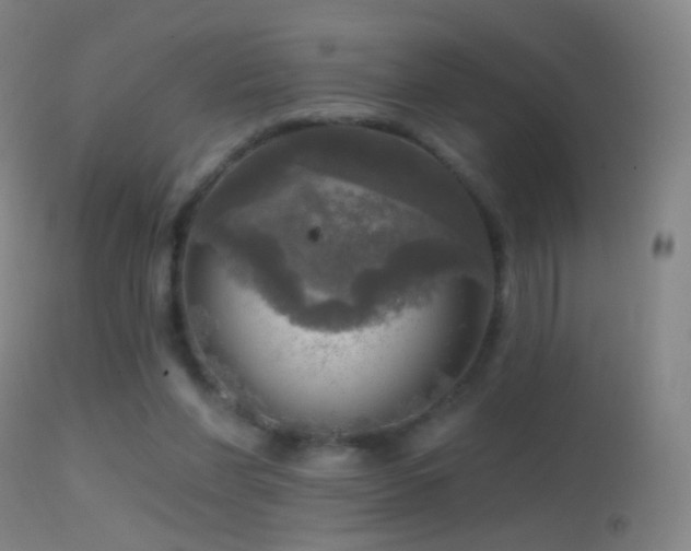 X0000114650206200910201515