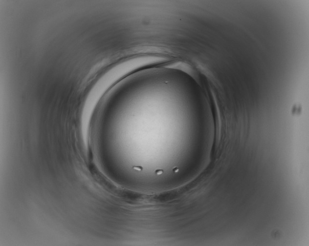 X0000114650207200910201515