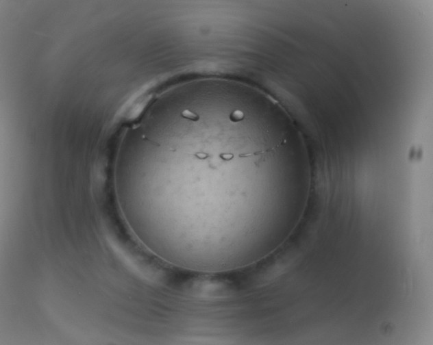 X0000114650208200910201515