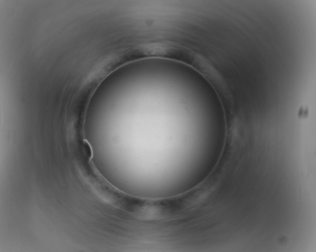 X0000114650209200910201515