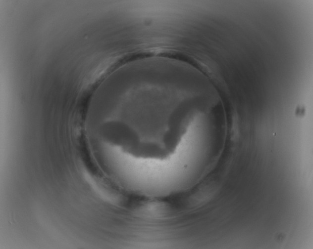 X0000114650210200910201515