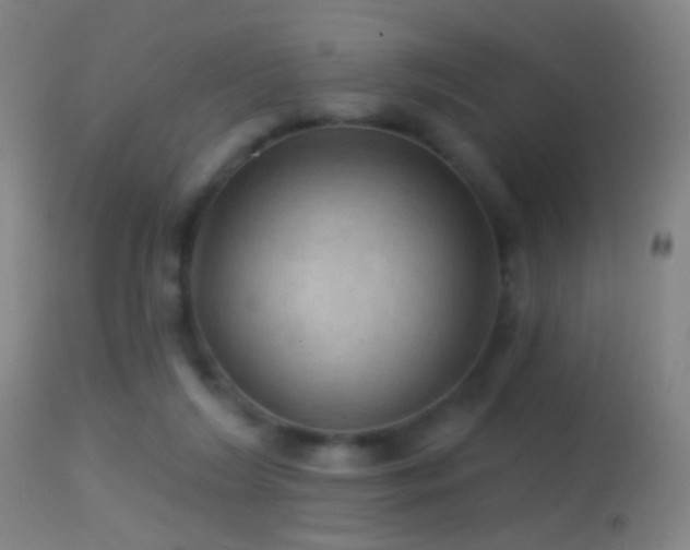 X0000114650212200910201515