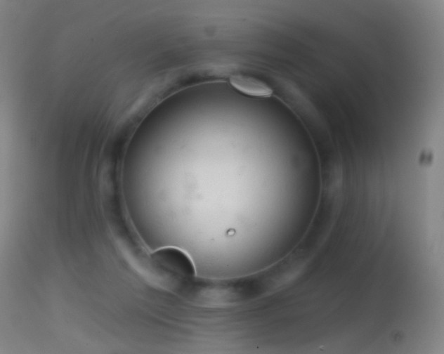 X0000114650213200910201515