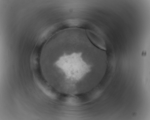 X0000114650215200910201515