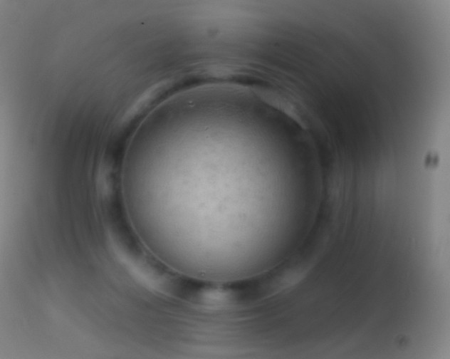 X0000114650216200910201515