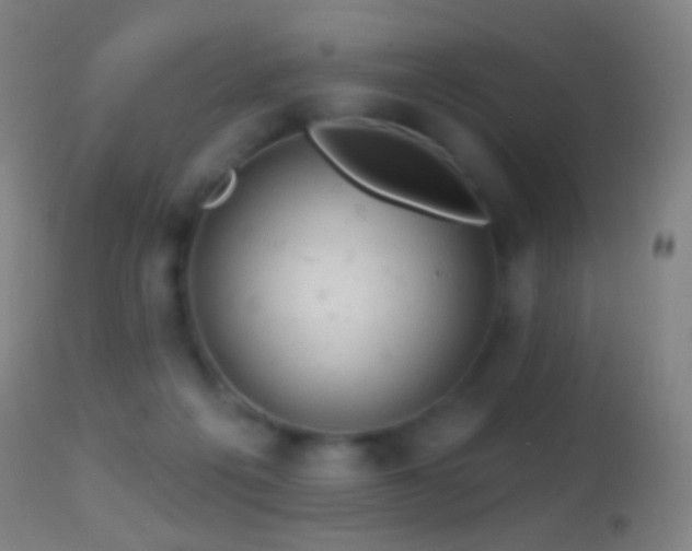 X0000114650217200910201515