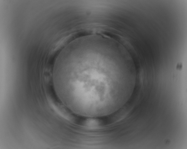 X0000114650218200910201515