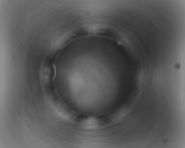 X0000114650219200910201515