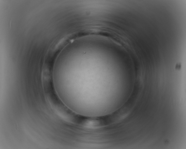 X0000114650220200910201515