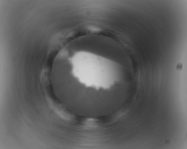 X0000114650222200910201515