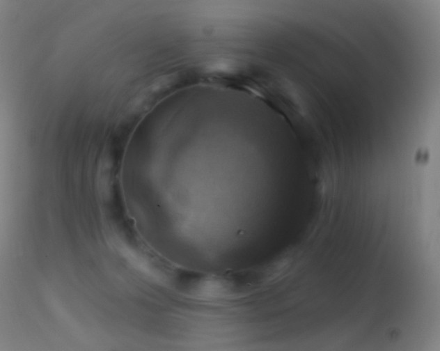 X0000114650223200910201515