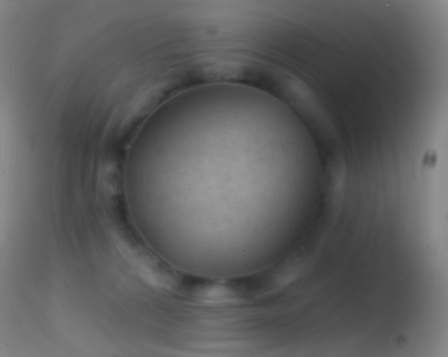 X0000114650224200910201515