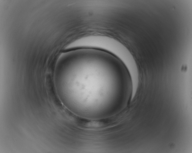 X0000114650225200910201515