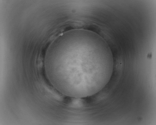 X0000114650226200910201515