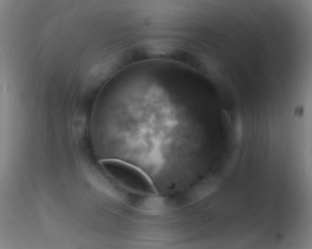 X0000114650227200910201515