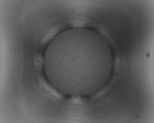 X0000114650228200910201515