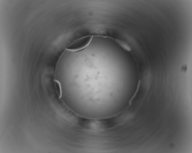 X0000114650229200910201515