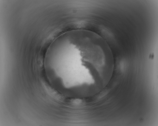 X0000114650230200910201515