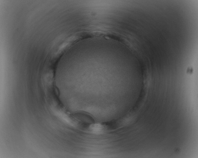 X0000114650231200910201515