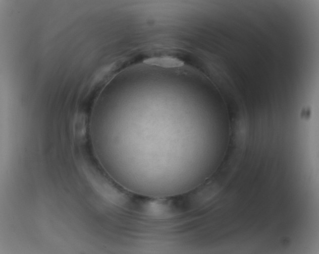 X0000114650232200910201515