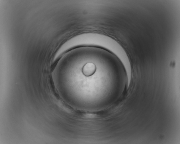 X0000114650233200910201515