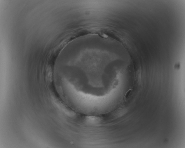 X0000114650234200910201515