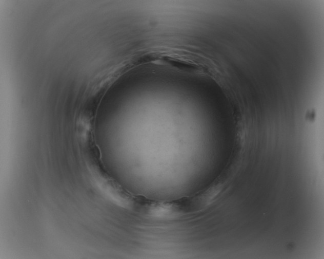 X0000114650235200910201515