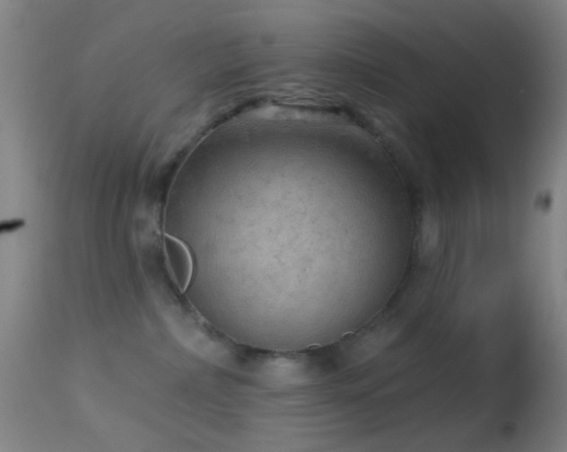 X0000114650236200910201515