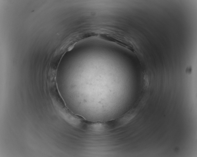 X0000114650237200910201515