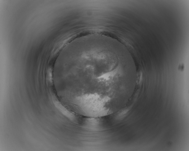 X0000114650238200910201515