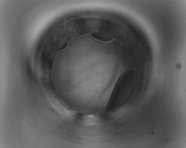 X0000114650239200910201515