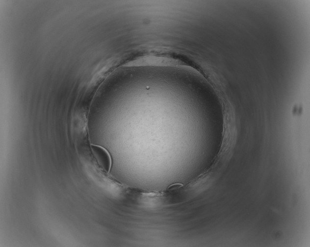 X0000114650240200910201515