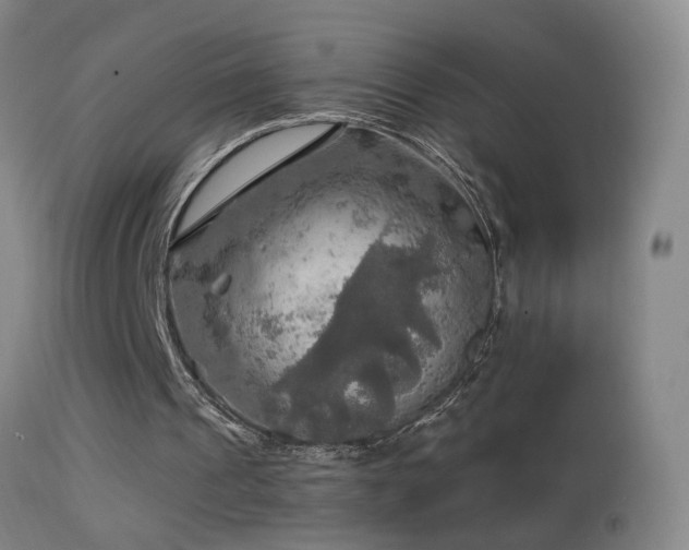 X0000114650241200910201514