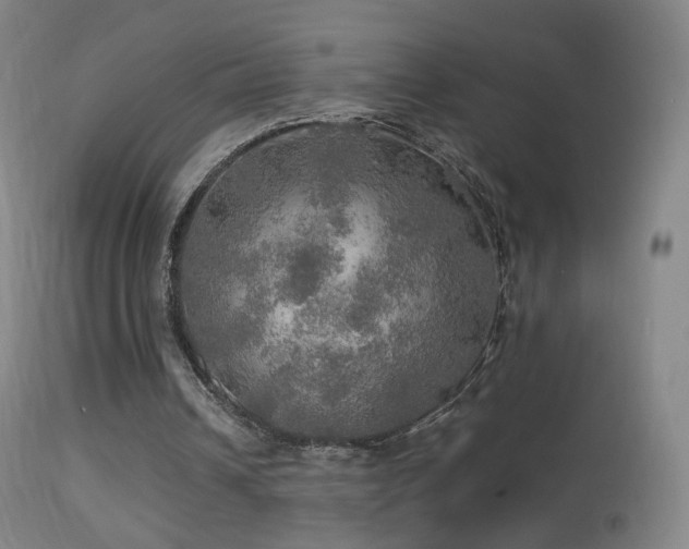 X0000114650242200910201514