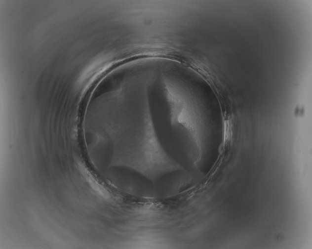 X0000114650243200910201514