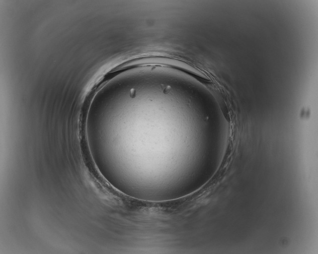 X0000114650244200910201514