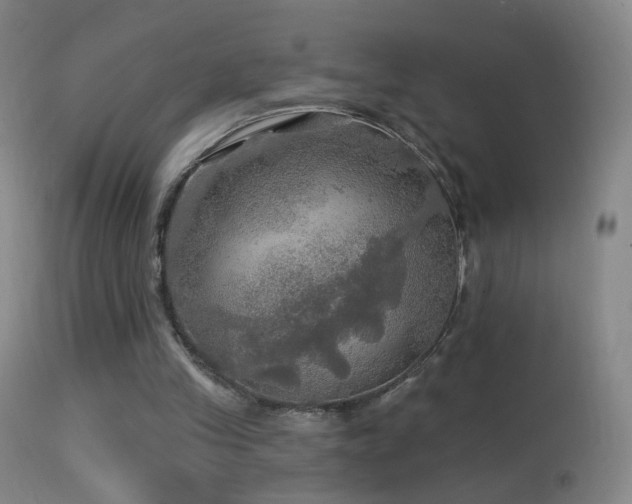 X0000114650245200910201514