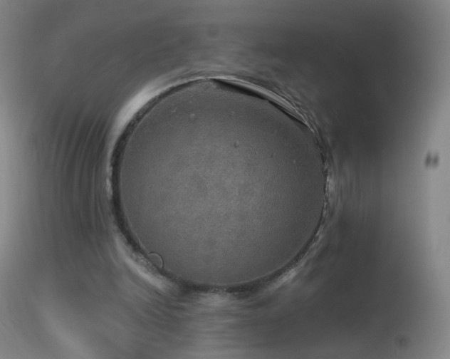 X0000114650246200910201514