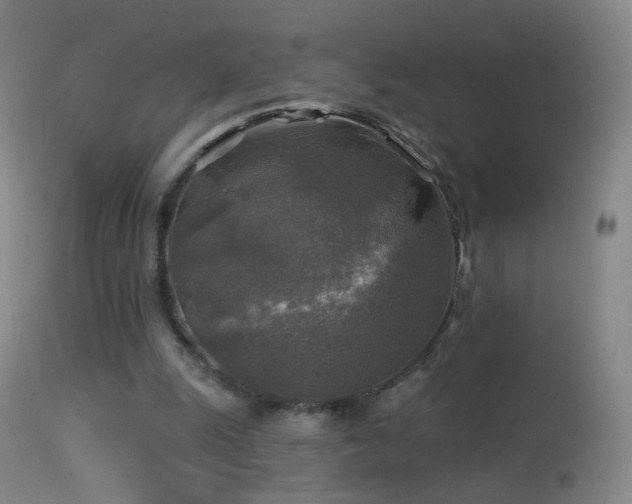 X0000114650247200910201514