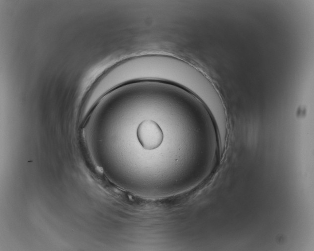 X0000114650248200910201514