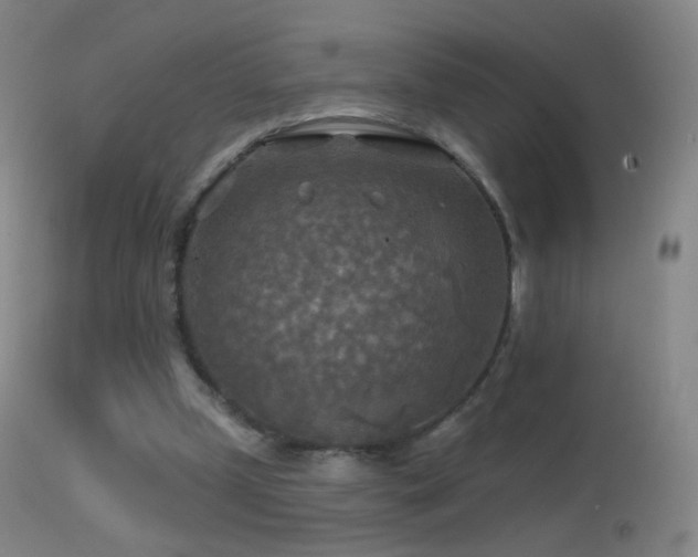 X0000114650249200910201514