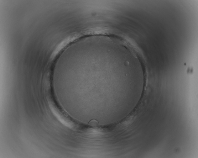 X0000114650250200910201514