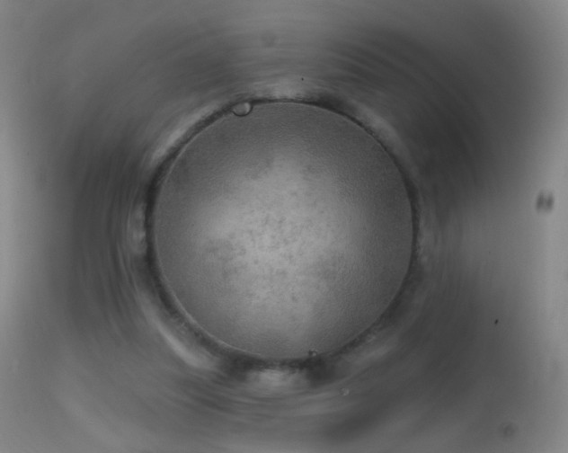 X0000114650251200910201514