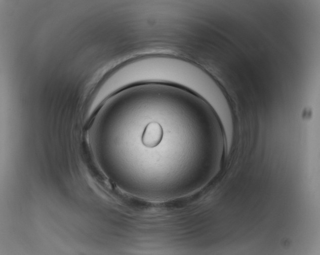 X0000114650252200910201514