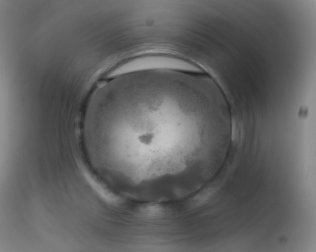 X0000114650253200910201514